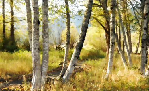 980328 (a): :2560x1569